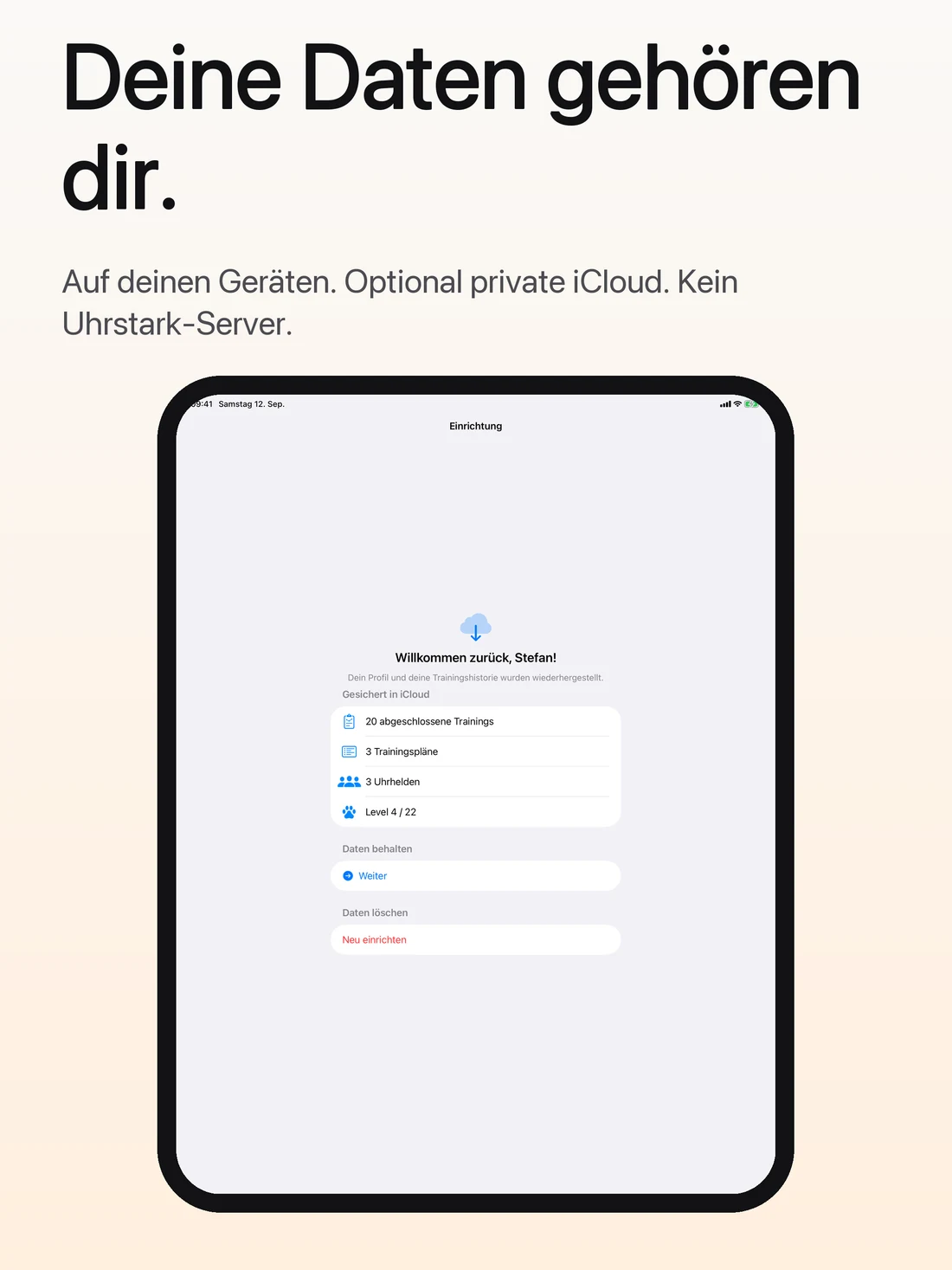 Deine Daten und iCloud auf dem iPad